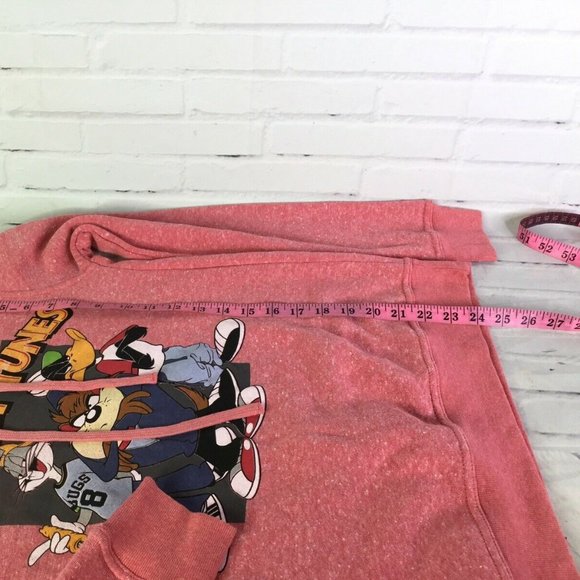 Looney Tunes Bugs Daffy Taz Logo Pullover Hoodie - Picture 9 of 9